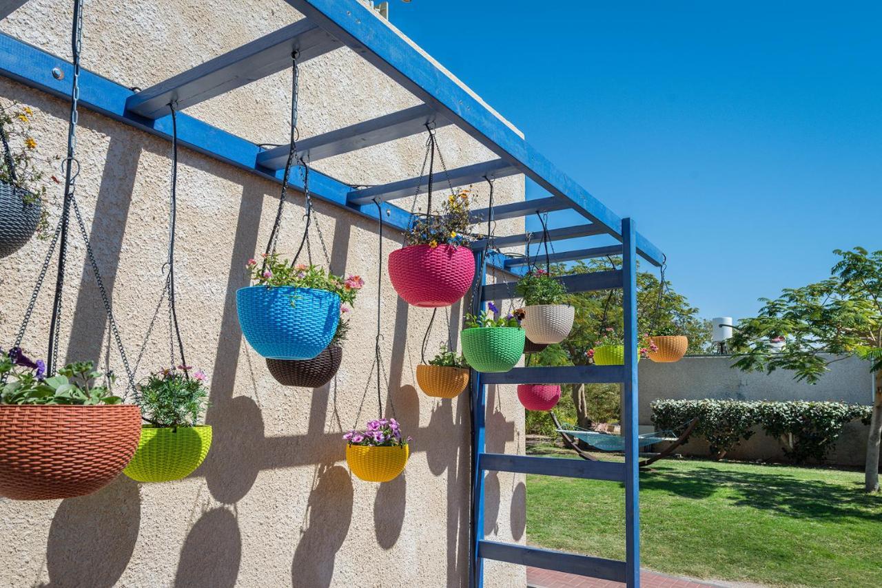 Eilot Kibbutz Country Lodging エイラート エクステリア 写真