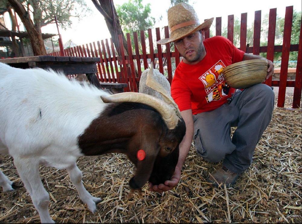 Eilot Kibbutz Country Lodging エイラート エクステリア 写真