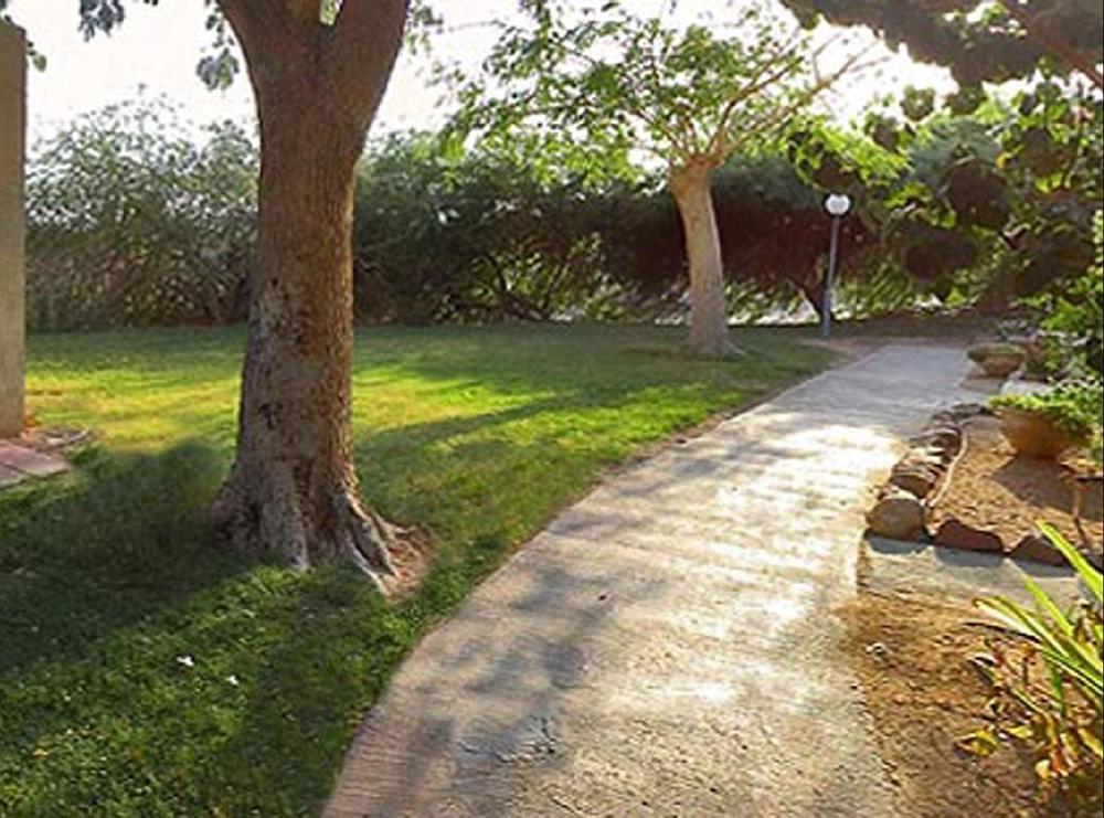 Eilot Kibbutz Country Lodging エイラート エクステリア 写真