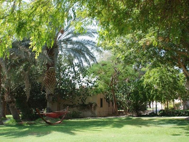 Eilot Kibbutz Country Lodging エイラート エクステリア 写真